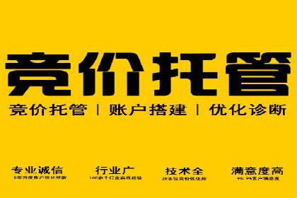 案例分析：SEM竞价员优化广告投放